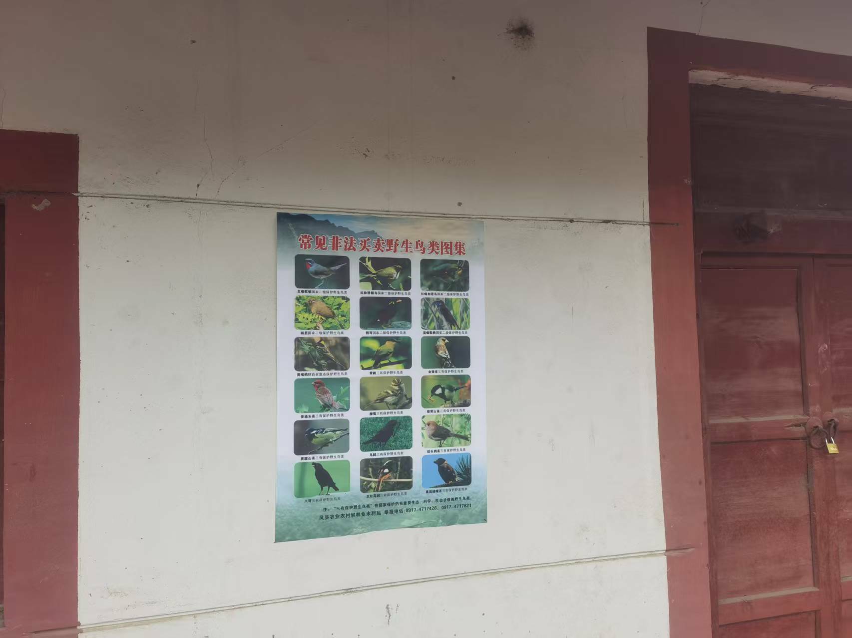 6月宣傳鳥類野生動物保護4.jpg
